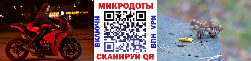 магазин продажи   Лысково  мега ССЫЛКА  Галлюциногенные грибы Psilocybine cubensis 